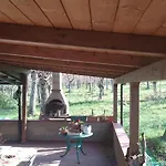 Immerso Nel Bosco