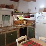 Immerso Nel Bosco