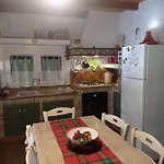 Immerso Nel Bosco