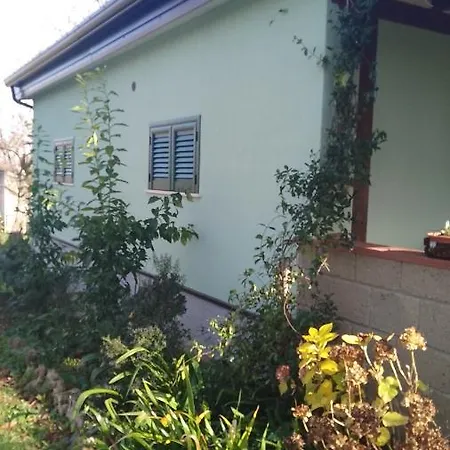 Chalet Immerso Nel Bosco