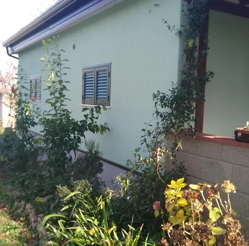 Alpehytte Immerso Nel Bosco