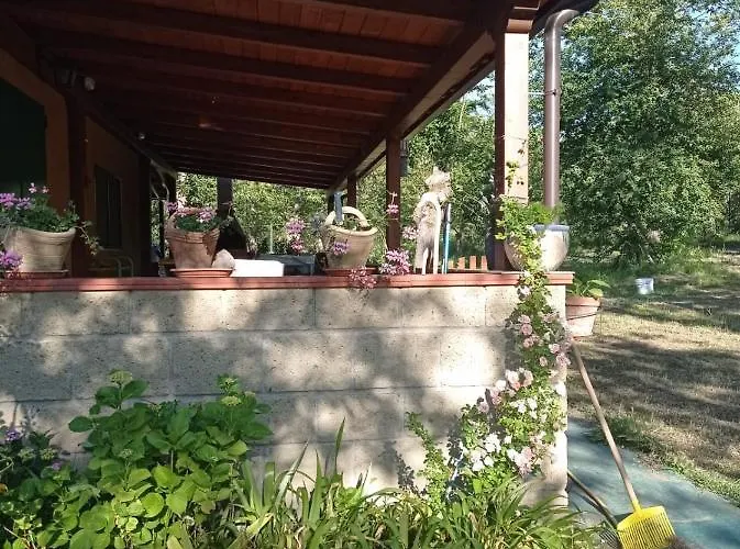 Immerso Nel Bosco Alpehytte